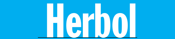 Home Logo06